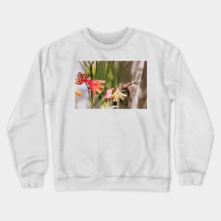 flowers by the Methodist church in Rainier 6 Crewneck Sweatshirt